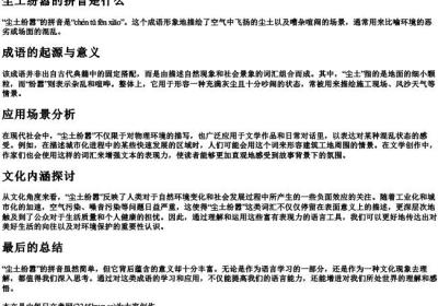 尘土纷嚣的拼音是什么.docx免费下载(word版可打印)