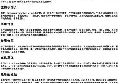 楮实子的拼音.docx免费下载(word版可打印)