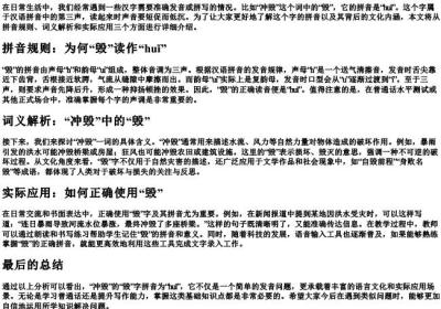 冲毁的毁的拼音怎么写.docx免费下载(word版可打印)