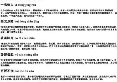 成语带的拼音带解释.docx免费下载(word版可打印)