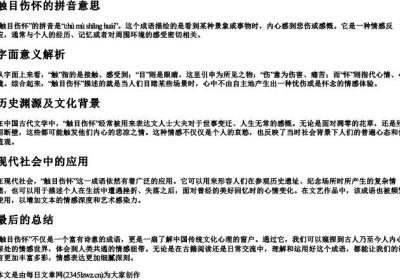 触目伤怀的拼音意思.docx免费下载(word版可打印)