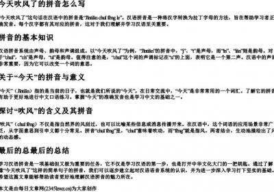 今天吹风了的拼音怎么写.docx免费下载(word版可打印)