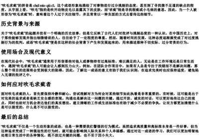 吹毛求疵的拼音和解释.docx免费下载(word版可打印)