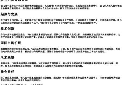 极飞的拼音怎么写.docx免费下载(word版可打印)
