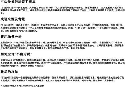 不由分说的拼音和意思.docx免费下载(word版可打印)