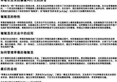 草莓长出来的藤蔓叫什么的拼音.docx免费下载(word版可打印)