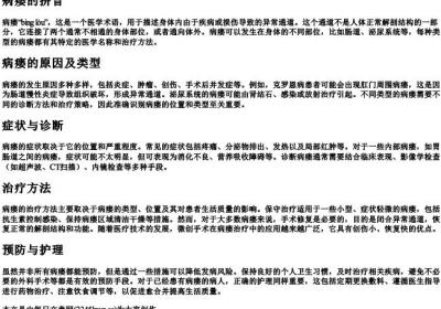 病瘘的拼音.docx免费下载(word版可打印)