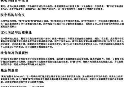鬓毛的拼音和注音.docx免费下载(word版可打印)