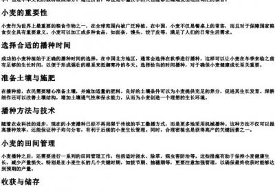 播种小麦的拼音.docx免费下载(word版可打印)