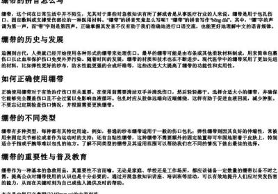 绷带的拼音怎么写.docx免费下载(word版可打印)
