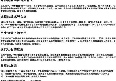 裨补阙漏的拼音是什么.docx免费下载(word版可打印)