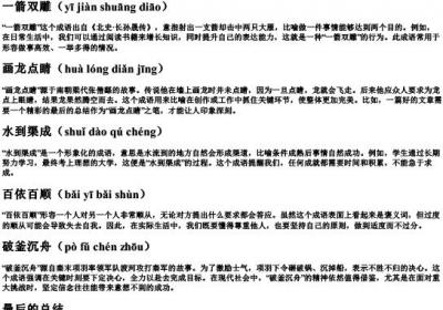 成语摘抄及解释加的拼音.docx免费下载(word版可打印)
