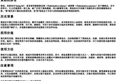 黄柏的拼音.docx免费下载(word版可打印)