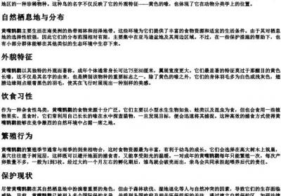 黄嘴鹮鹳的拼音.docx免费下载(word版可打印)