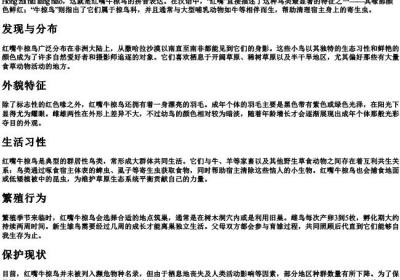 红嘴牛椋鸟的拼音.docx免费下载(word版可打印)