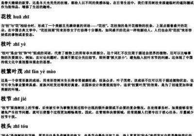 枝的组词组什么词语和的拼音.docx免费下载(word版可打印)