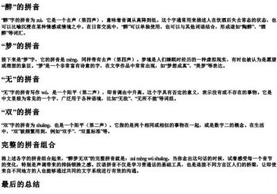 醉梦无双的拼音怎么写.docx免费下载(word版可打印)