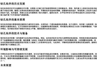 钻孔钻井的拼音.docx免费下载(word版可打印)