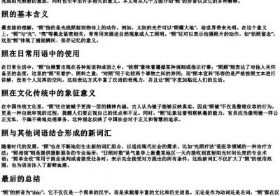 照的拼音及解释.docx免费下载(word版可打印)
