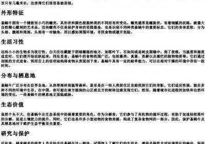 蚤蜗牛的拼音.docx免费下载(word版可打印)
