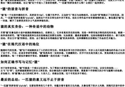 一匹猹的拼音是什么.docx免费下载(word版可打印)
