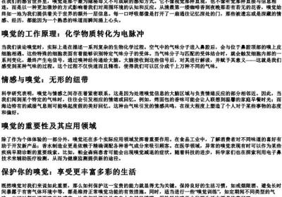 嗅字的拼音.docx免费下载(word版可打印)