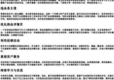 新手怎么做拼多多爆款.docx免费下载(word版可打印)