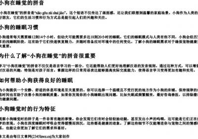 小狗在睡觉的拼音.docx免费下载(word版可打印)