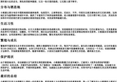 小熊猫的拼音.docx免费下载(word版可打印)