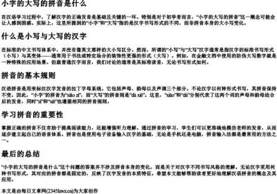 小字的大写的拼音是什么.docx免费下载(word版可打印)