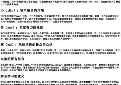 小男孩的拼音怎么拼写.docx免费下载(word版可打印)