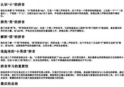 小男孩的拼音怎么写.docx免费下载(word版可打印)