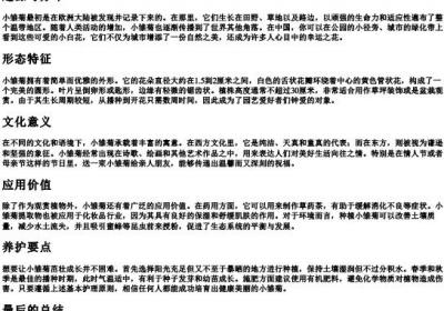小雏菊的拼音.docx免费下载(word版可打印)