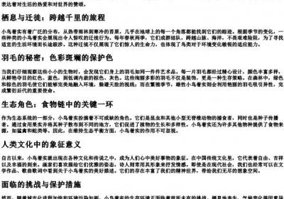 小鸟着实的拼音.docx免费下载(word版可打印)