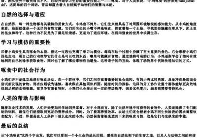 小鸡啄食的拼音.docx免费下载(word版可打印)