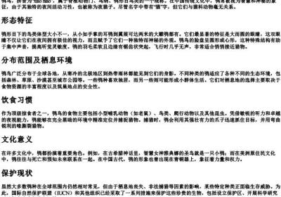 鸮鸟的拼音.docx免费下载(word版可打印)
