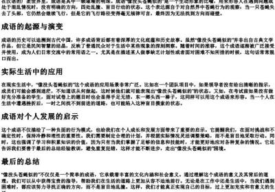 像没头苍蝇似的拼音.docx免费下载(word版可打印)
