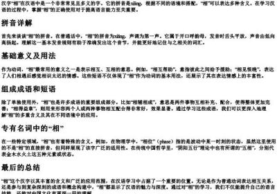 相的拼音和组词.docx免费下载(word版可打印)