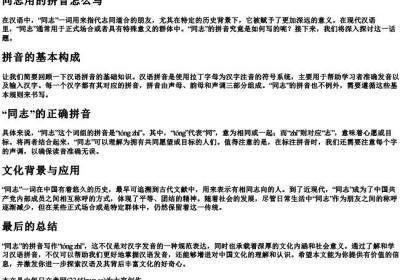 同志用的拼音怎么写.docx免费下载(word版可打印)