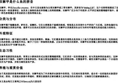 双棘甲什么鱼的拼音.docx免费下载(word版可打印)