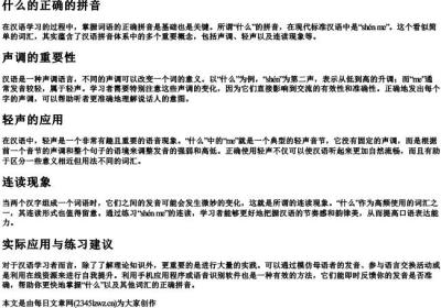 什么的正确的拼音.docx免费下载(word版可打印)