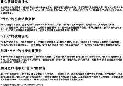 什么的拼音是什么.docx免费下载(word版可打印)