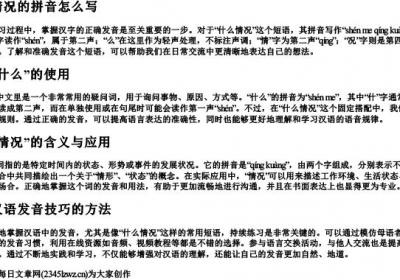 什么情况的拼音怎么写.docx免费下载(word版可打印)