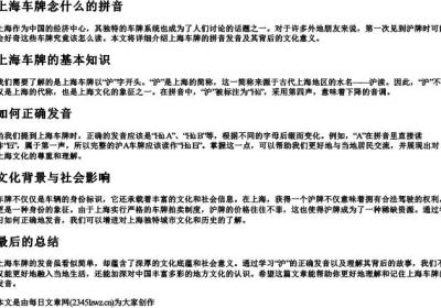 上海车牌念什么的拼音.docx免费下载(word版可打印)