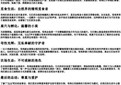 一只母鸡叽叽叽的拼音.docx免费下载(word版可打印)