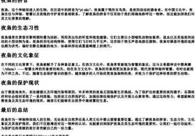 夜枭的拼音.docx免费下载(word版可打印)