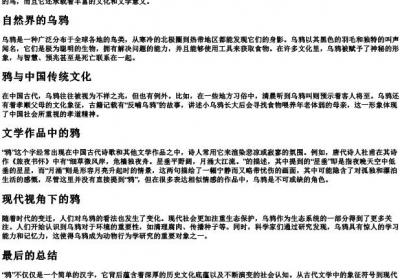 鸦的拼音字.docx免费下载(word版可打印)