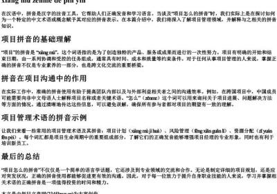 项目怎么的拼音.docx免费下载(word版可打印)