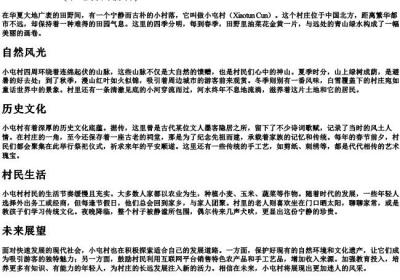 小屯村的拼音.docx免费下载(word版可打印)