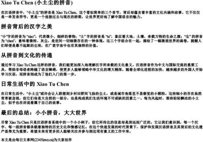 小土尘的拼音.docx免费下载(word版可打印)